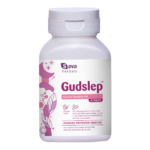 Gudslep