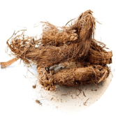 Jatamansi (Nardostachys Jatamansi)